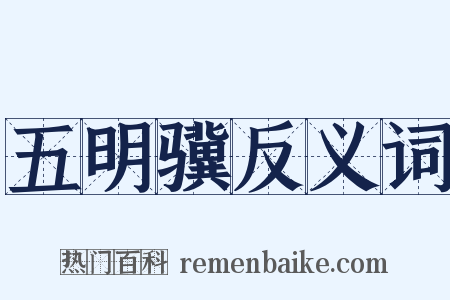 五明骥反义词是什么意思的图片